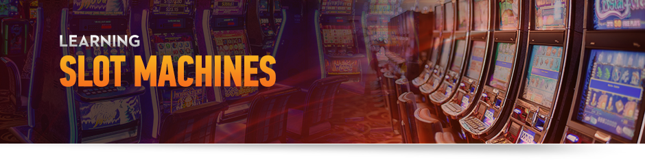 10 Best Video Poker Games and How to Play Them