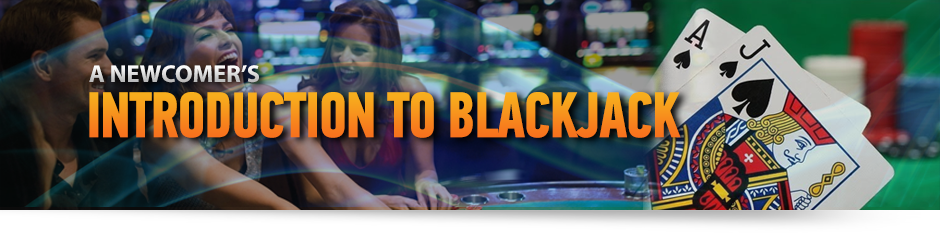 A Newcomer's Introduction to Blackjack