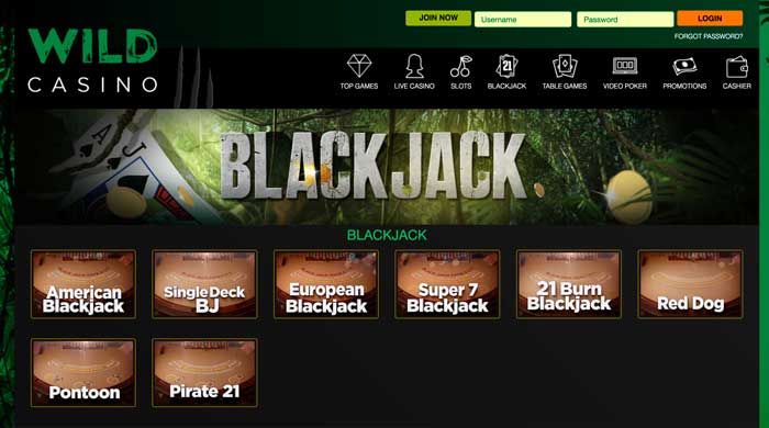 Wild Casino Blackjack Screenshot