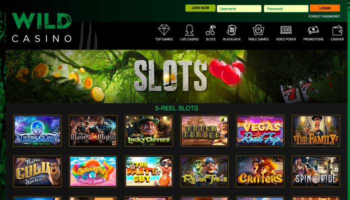 Wild Casino Slots Screenshot