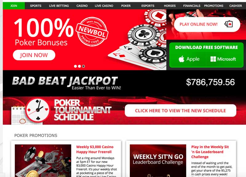 BetOnline Poker Screenshot